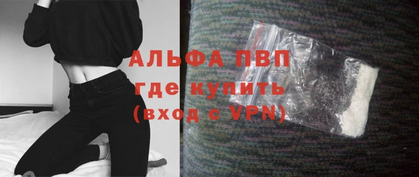 прущие грибы Белоозёрский