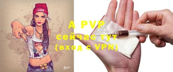 прущие грибы Белоозёрский