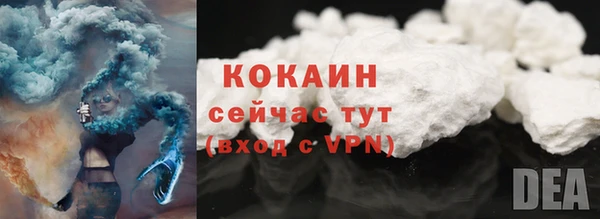 прущие грибы Белоозёрский
