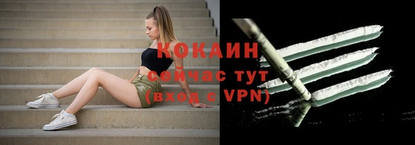 прущие грибы Белоозёрский
