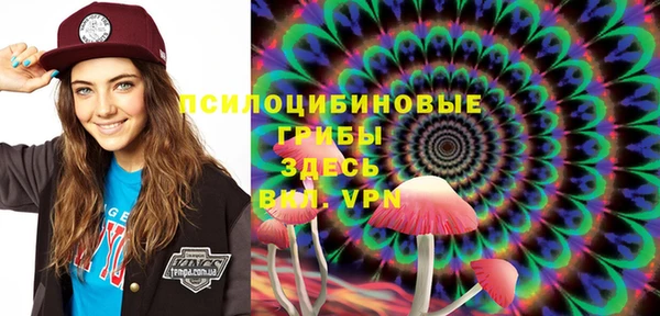 не бодяженный Белокуриха